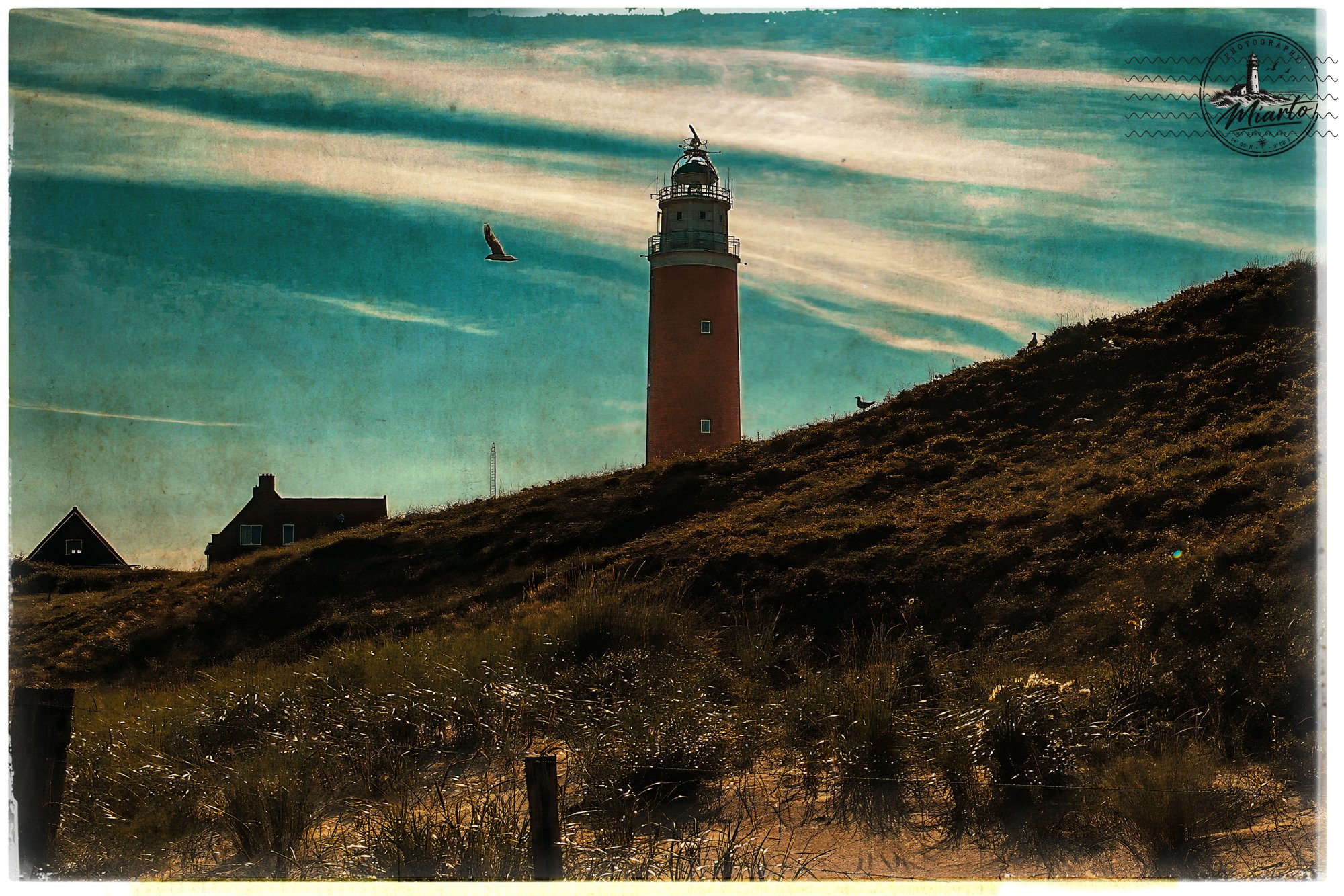 Texel